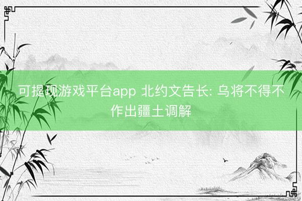 可提现游戏平台app 北约文告长: 乌将不得不作出疆土调解