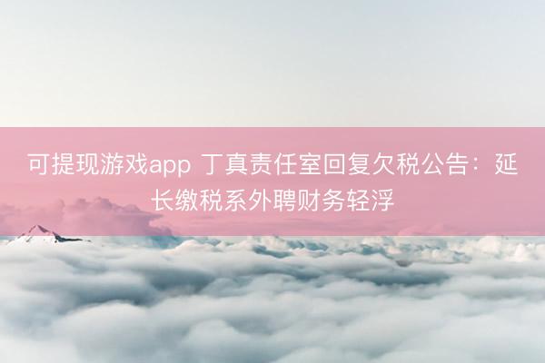 可提现游戏app 丁真责任室回复欠税公告：延长缴税系外聘财务轻浮