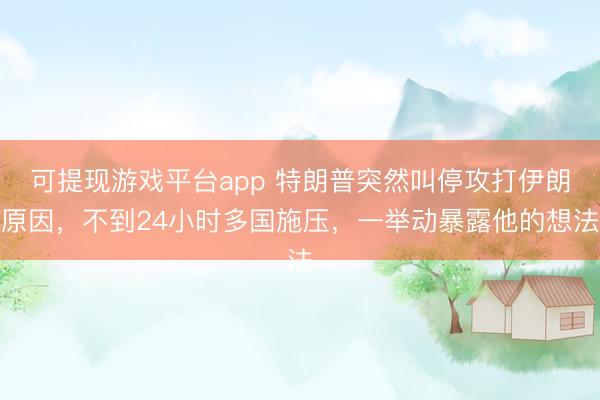 可提现游戏平台app 特朗普突然叫停攻打伊朗原因，不到24小时多国施压，一举动暴露他的想法