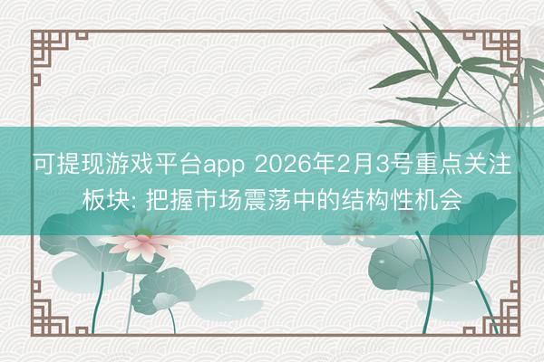 可提现游戏平台app 2026年2月3号重点关注板块: 把握市场震荡中的结构性机会