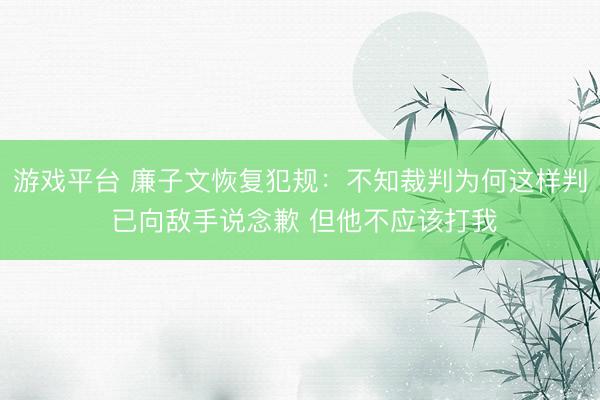 游戏平台 廉子文恢复犯规：不知裁判为何这样判 已向敌手说念歉 但他不应该打我