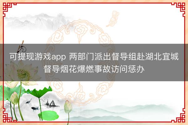 可提现游戏app 两部门派出督导组赴湖北宜城督导烟花爆燃事故访问惩办