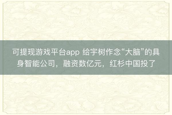 可提现游戏平台app 给宇树作念“大脑”的具身智能公司,融资数亿元,红杉中国投了