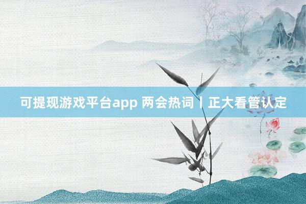 可提现游戏平台app 两会热词丨正大看管认定