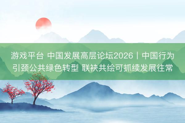游戏平台 中国发展高层论坛2026丨中国行为引颈公共绿色转型 联袂共绘可抓续发展往常