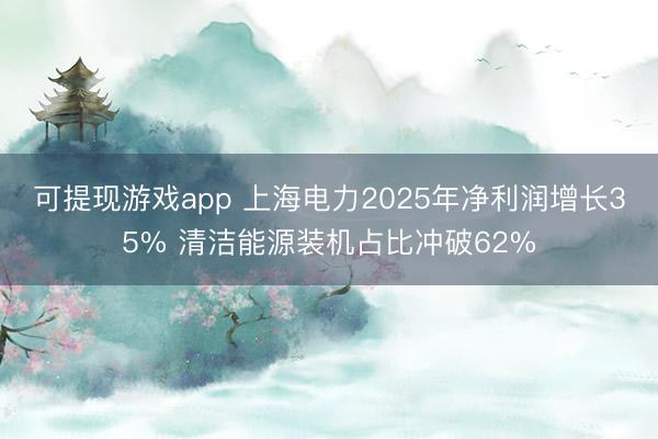 可提现游戏app 上海电力2025年净利润增长35% 清洁能源装机占比冲破62%