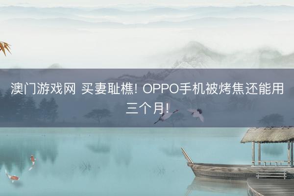 澳门游戏网 买妻耻樵! OPPO手机被烤焦还能用三个月!