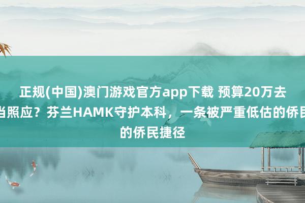 正规(中国)澳门游戏官方app下载 预算20万去北欧当照应？芬兰HAMK守护本科，一条被严重低估的侨民捷径