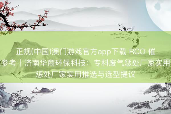 正规(中国)澳门游戏官方app下载 RCO 催化毁灭开拓选型参考｜济南华商环保科技：专科废气惩处厂家实用推选与选型提议