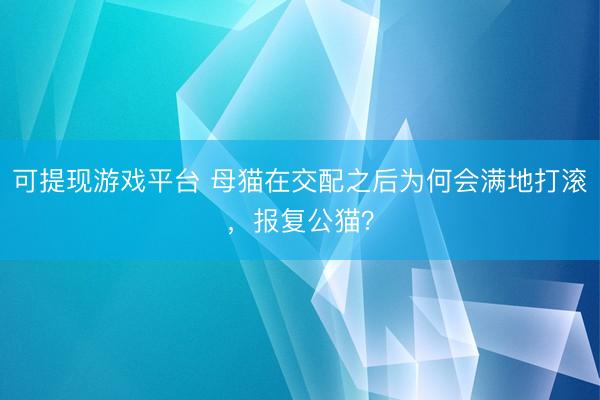可提现游戏平台 母猫在交配之后为何会满地打滚,报复公猫?