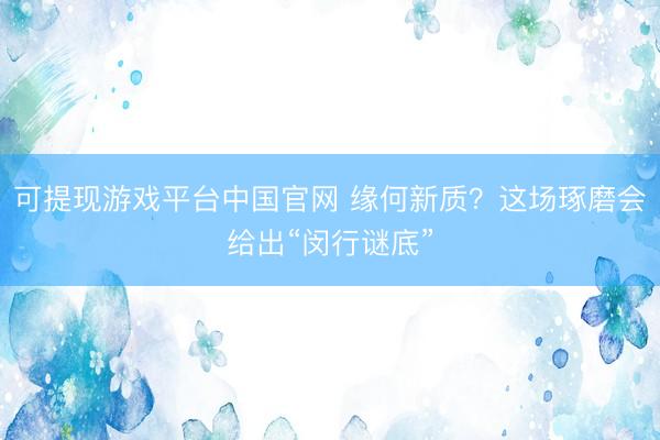 可提现游戏平台中国官网 缘何新质?这场琢磨会给出“闵行谜底”