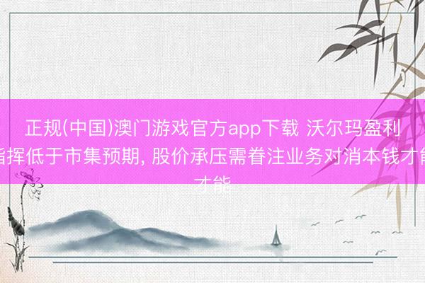 正规(中国)澳门游戏官方app下载 沃尔玛盈利指挥低于市集预期， 股价承压需眷注业务对消本钱才能