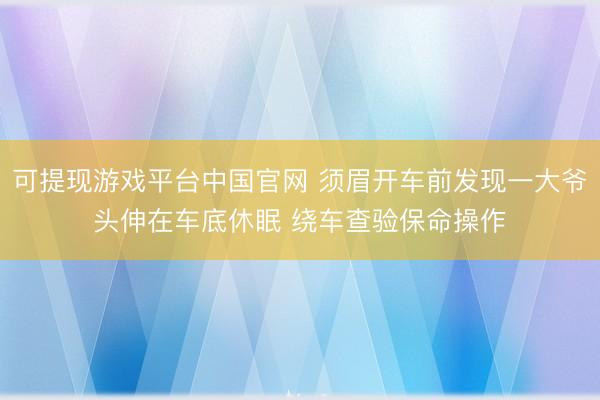 可提现游戏平台中国官网 须眉开车前发现一大爷头伸在车底休眠 绕车查验保命操作